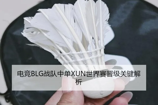 电竞BLG战队中单XUN世界赛晋级关键解析 - feisu